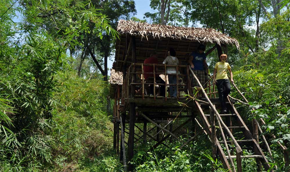 Gibbon Wildlife Sanctuary