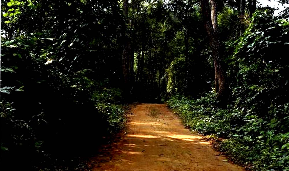 Tasek Lake Tasek Lake