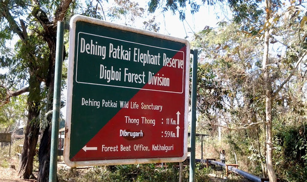 Dehing Patkai Wildlife Sanctuary Dehing Patkai Wildlife Sanctuary