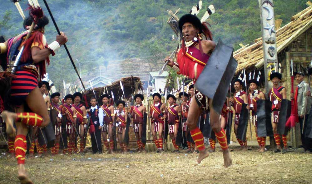 Dehing Patkai Wildlife Sanctuary Dehing Patkai Wildlife Sanctuary