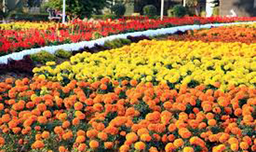 Rabindra Kanan Rabindra Kanan