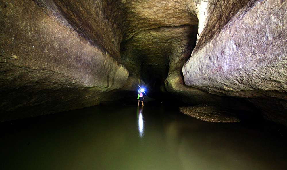 Siju Bat Cave Siju Bat Cave