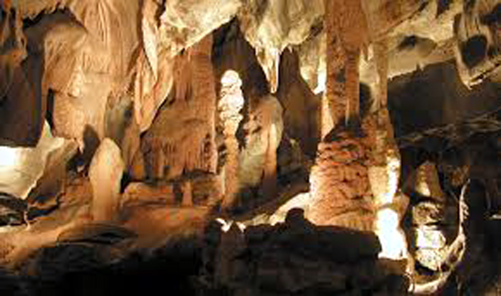 Siju Bat Cave Siju Bat Cave