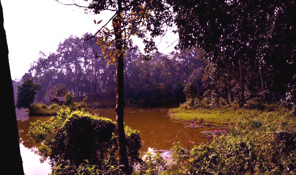 Tasek Lake Tasek Lake