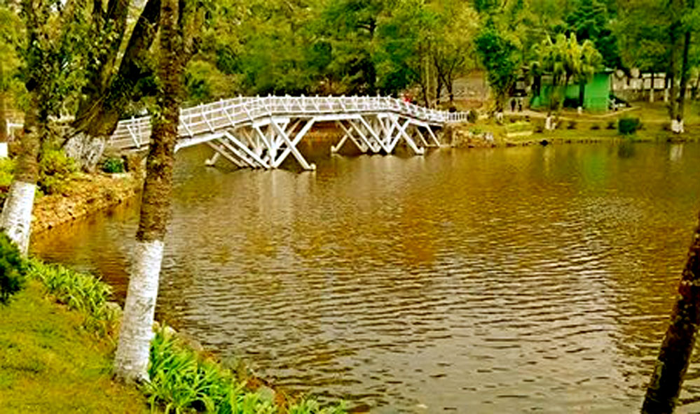 Wards Lake Wards Lake